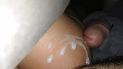 چک, ریخته گری, اسباب بازی سگسی قدیمی بزرگ, انفرادی
